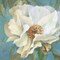 Sen~orita Peony in Bloom II Poster Print by Lanie Loreth - Item # VARPDX12249B
